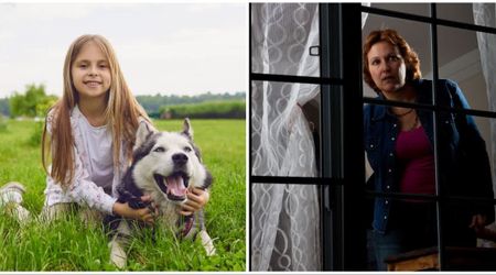 7-year-old girl steals neighbor’s Husky from backyard in broad daylight — owner stunned by what she left behind to cover it up