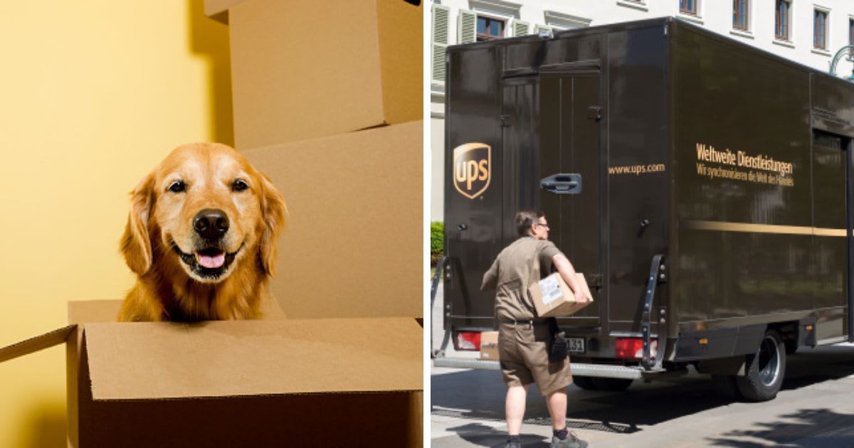 (L) A happy Golden Retriever sitting in a moving box, (R) UPS delivery vehicle and mailman in the city. (Representative Cover Image Source: Getty Images | (L)cmannphoto, (R) ollo)
