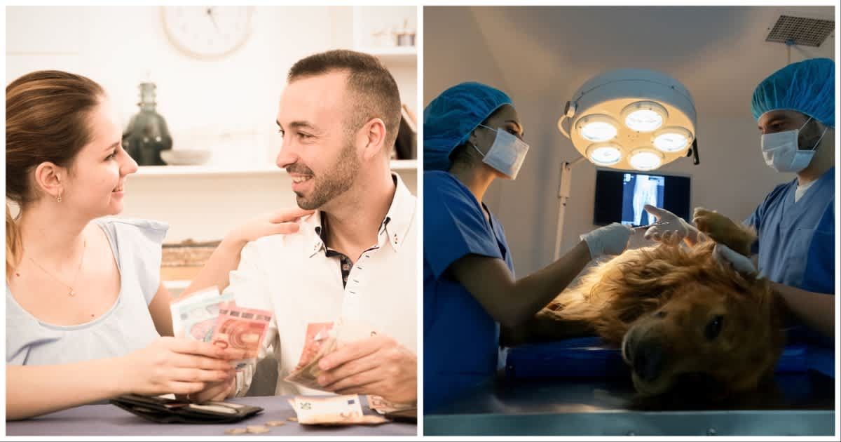 (L ) A couple counting money ; (R) Veterinary surgeons operating on a dog at a clinic (Representative Cover Source: Getty Images | Photo by (L) JackF; (R) 	andresr