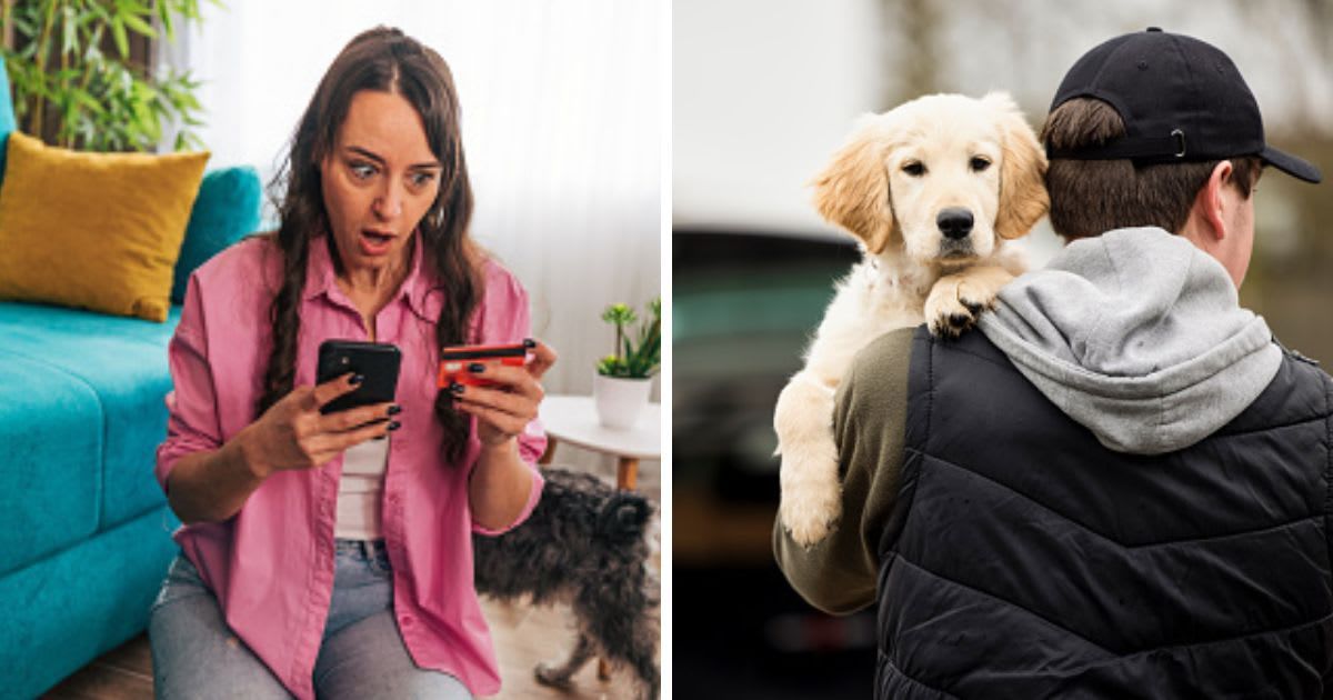 (L) Woman using smartphone and credit card, (R) Criminal Stealing or Dognapping Puppy. (Representative Cover Image Source: Getty Images | (L) Milorad Kravic, (R) Daisy-Daisy)