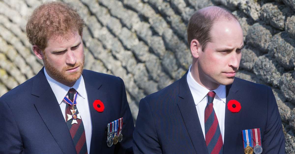 Prince William and Prince Harry visit the trenches and tunnels used during the Battle of Vimy Ridge on April 9, 2017, in France. (Cover Image Source: Getty Images | Andy Commins - Pool)