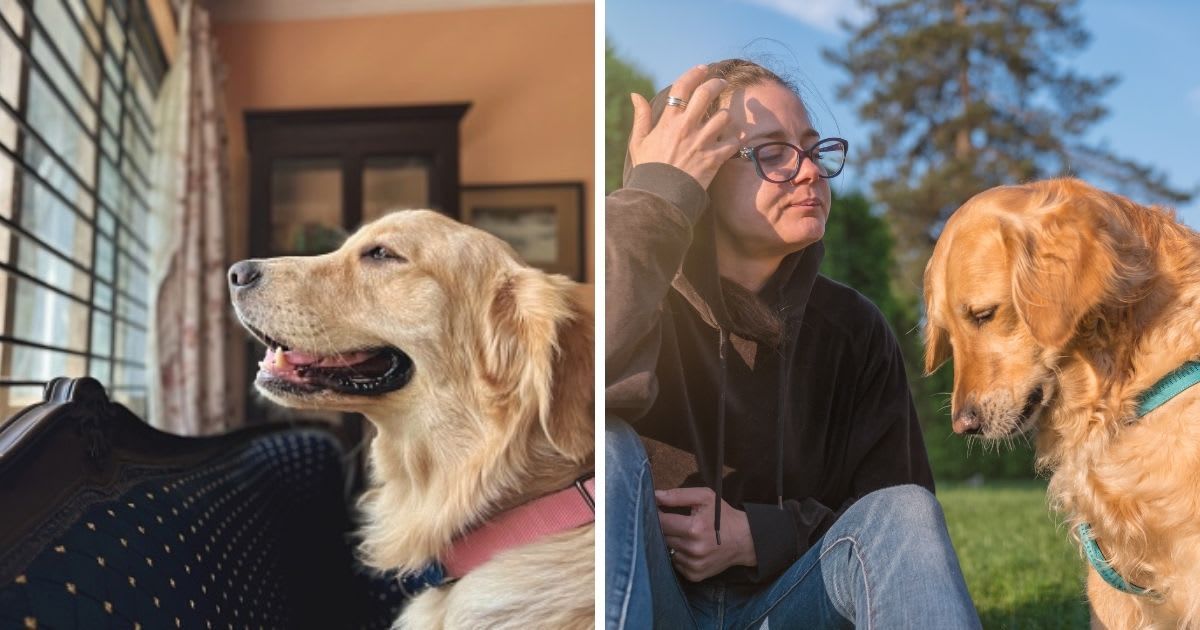 (L) Dog waiting for his favorite human, (R) 	Sad golden retriever dog. (Representative Cover Image Source: Getty Images | (L) Kedar Diwakar Mandakhalikar, (R) Media Trading Ltd)