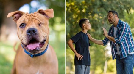Rude stranger called his dog with one eye ‘ugly’ — but owner’s epic comeback shut down all dog shamers for good