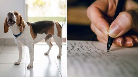 She thought her neighbor’s non-stop barking puppy was ‘locked up in kennel for 15 days straight’ — until a note on the door left her speechless