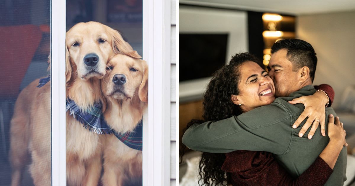 (L) Two golden retriever dogs wearing scarves, (R) A couple celebrates exciting news. (Representative Cover Image Source: Getty Images | (L) franlaurendeau, (R) FG Trade Latin)