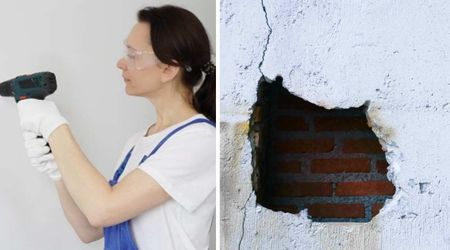 Woman cut open her wall to find the source of ‘strange noises’ — what she found buried in dust left her stunned