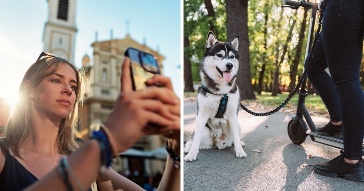 (L) Woman filming with phone (R) A dog riding scooter with owner. (Representative Cover Image Source: Getty Images | (L) Imgorthand, (R) martin-dm)