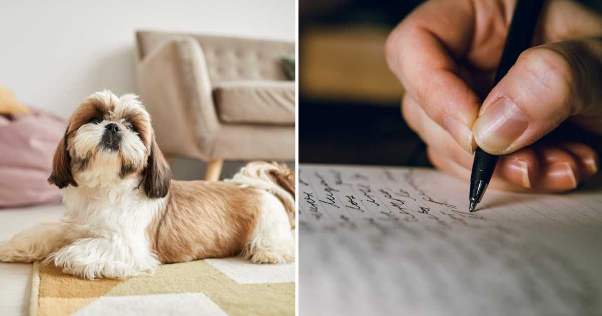 (L) A Shih-tzu dog sitting, (R) A woman writing a letter. (Representative Cover Image Source: Getty Images | (L) SeventyFour, (R) Jacques Julien)