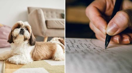 Neighbors complained about an anxious dog’s nonstop cries — until his kind owner’s note on their doorstep left them speechless