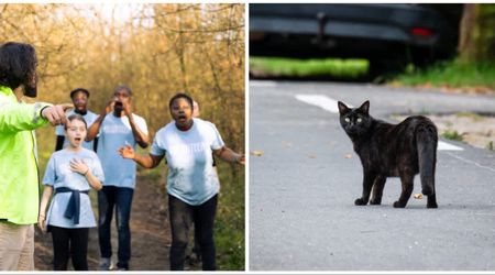 Rescuers followed missing lady’s cat meowing non-stop at them during the search — and found his 83-year-old owner where no one expected