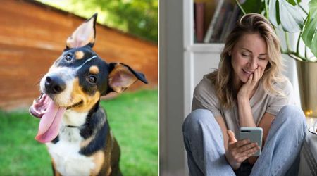 Mom receives hilarious photo of naughty puppy at principal’s office after it sneaks into kids’ school — turns bright red when she sees it