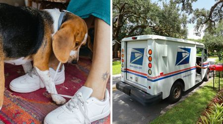 Owner thought her dog wanted to play when she nudged her toward her favorite mailman’s truck — but she froze when she looked inside and called 911
