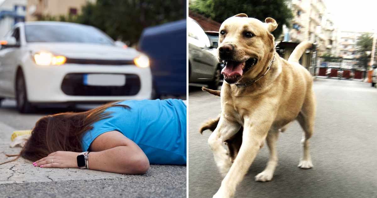 (L) A woman lying unconscious on the road. (R) A pet dog running. (Representative Cover Image Source: Getty Images | (L) Alvaro Medina Jurado, (R) mari d'angeri)