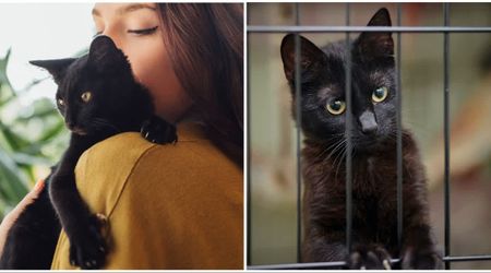 Shelter told foster mom to return kitten she raised for months over behavior issues — where he was going next left her devastated