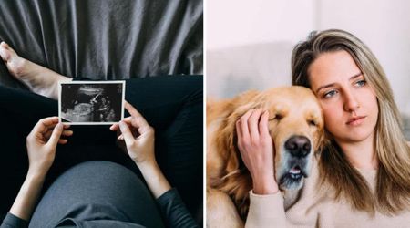 Dog knew her pregnant owner had lost her baby before anyone else — and her quiet gesture both broke and healed her heart
