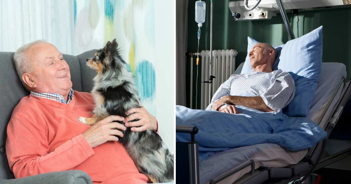 (L) A old man hugging a chihuahua dog. (R) A man sleeping in hospital bed. (Representative Cover Image Source: Getty Images | (L) Fred Froese, (R) Halfdark)