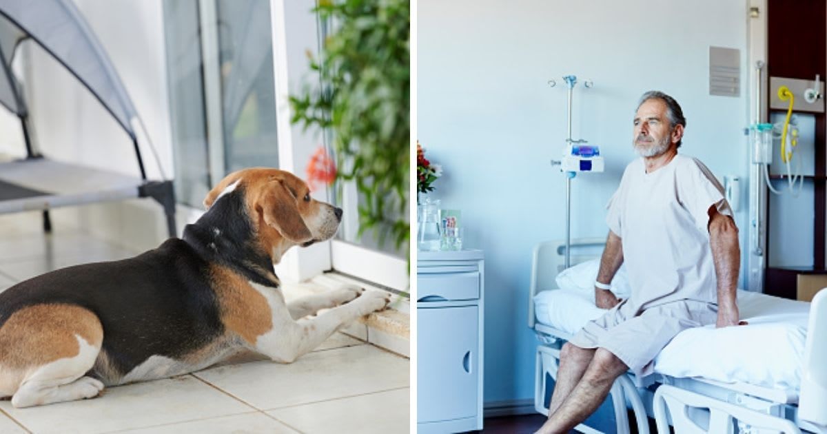 (L) Waiting dog outside of house, (R) A man in a hospital ward. (Representative Cover Image Source: Getty Images | (L) dimarik, (R) Morsa Images)