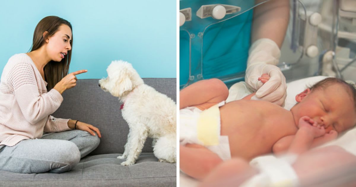 (L)Woman at home telling off her dog, (R) The doctor holding a small baby. (Representative Cover Image Source: Getty Images | (L) Hispanolistic, (R) Sviatlana Lazarenka)