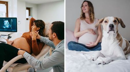 Dog parents can’t ‘unsee’ their baby’s ultrasound scan — after friends pointed out its uncanny resemblance to unexpected family member