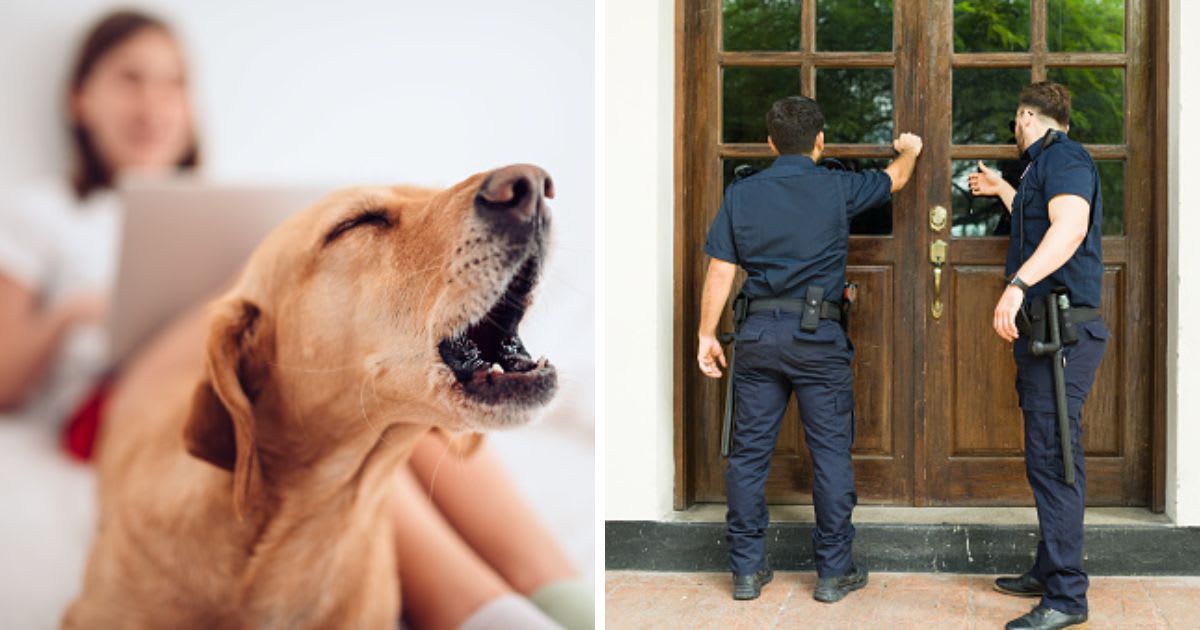 (L) Dog lying on the bed and barking, (R) Police officers doing a home investigation. (Representative Cover Image Source: Getty Images | (L) Kerkez, (R) Antonio_Diaz)