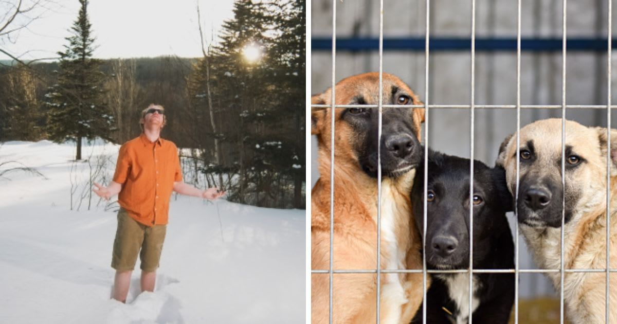 (L) Man Wearing Shorts in Snow, (R) Dogs behind bars at the animal shelter. (Representative Cover Image Source: Getty Images | (L) Johannes Kroemer, (R) Valeriy Volkonskiy)