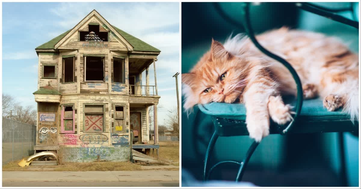 (L ) An abandoned house ; (R) A sad cat (Representative Cover Source: Getty Images | Photo by (L) Peter Baker ; (R) Rafa Elias)