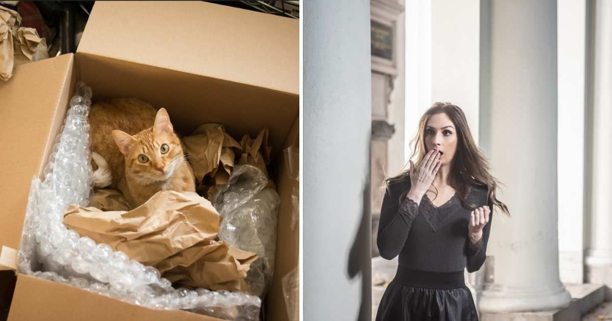 (L) A cat in a box. (R) A fearful woman looking somewhere scared and surprised. (Representative Cover Image Source: Getty Images | (L) harpazo_hope (R) Koron)