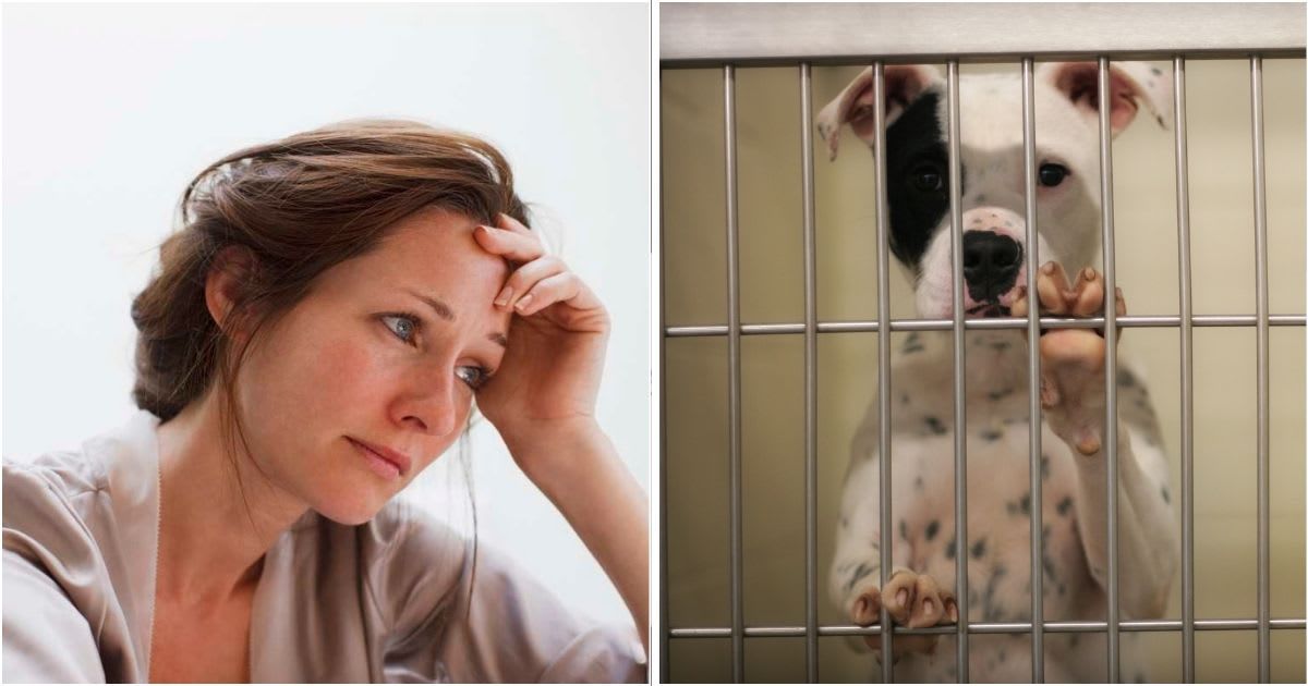 Representative image of a woman looking sad (L), Pit Bull in a kennel at a shelter (R) | Cover Image Source: Getty Images | Tom Merton (L), DanBrandenburg (R)
