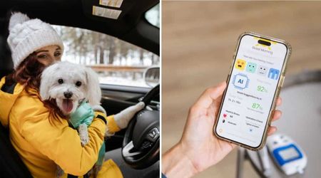  Her service dog gave an ‘urgent alert’ even though her diabetic son was still inside the school — moments later, mom realized her