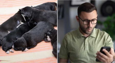 Man thought he’d rescued five newborn ‘puppies’ from under an old mattress — but one grave mistake sent them right back where they came from 