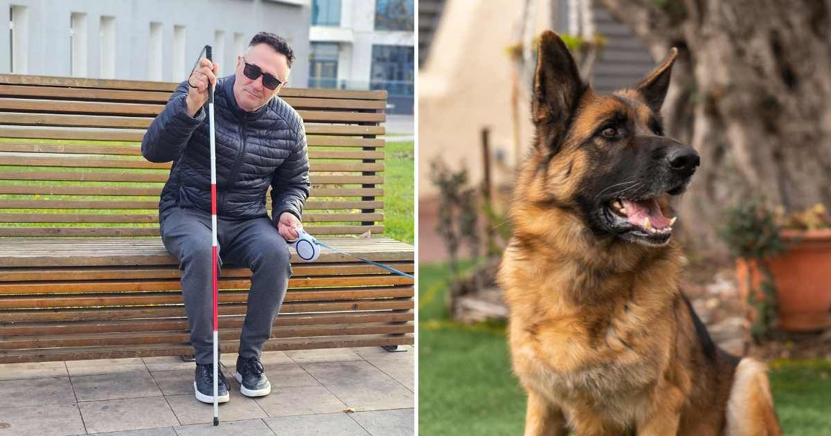 (L) A blind man sitting on a bench. (R) A German Shepherd dog. (Representative Cover Image Source: Getty Images | (L) Nadzeya Haroshka, (R) Jordi Carne Sanchez)