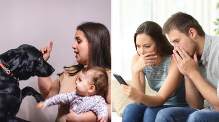 Parents grew suspicious when their gentle dog kept growling at one babysitter — when they hid a phone to find out why, the truth made them sick