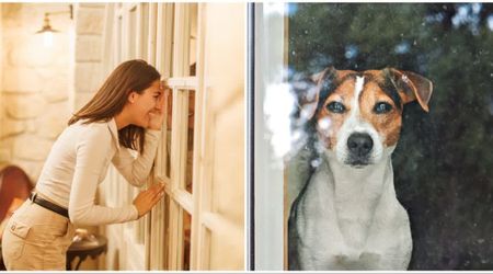 Dog owner said one word after accidentally locking herself out of her house — and her clever pup knew exactly what to do