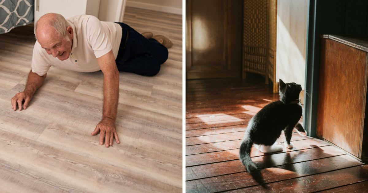 (L) Senior man in pain on the floor after a fall, (R) A young black cat looks up before he leaps onto a box. (Representative Cover Image Source: Getty Images | (L) Goodboy Picture Company, (R) Catherine Falls Commercial)