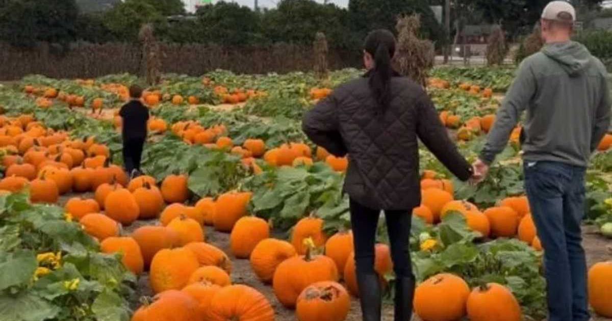 Royal Fans Spot Major Change in Prince Archie's Appearance in Meghan Markle’s New Video