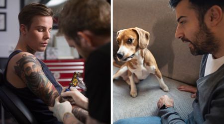 Teen got a tattoo to match a mark left by his rescue dog’s ‘cruel’ past owners — but its real meaning left everyone in stitches