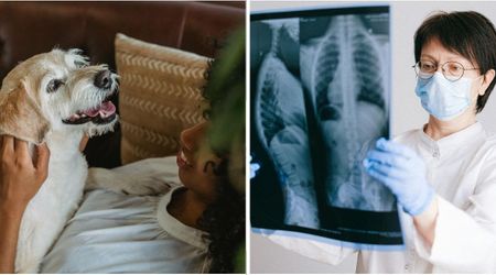 Woman ignored her dog when he kept burrowing his head against her breast – but what she discovered when another dog did the same changed her life