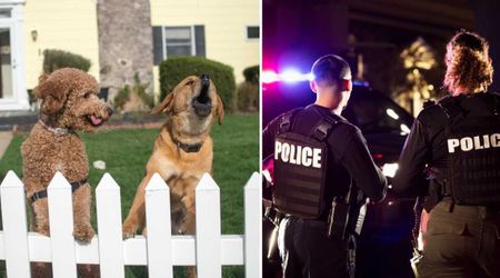 Man tried to poison his neighbors’ dogs for ‘barking too loud’ in a malicious 4 a.m. plan — until owners went to police with chilling evidence