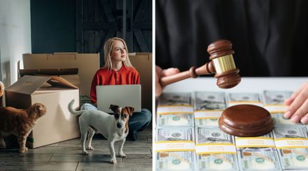 Tenants with six emotional support animals evicted for ‘breaking rules’ — but a year later, former landlord’s vengeful act cost him $20K in court