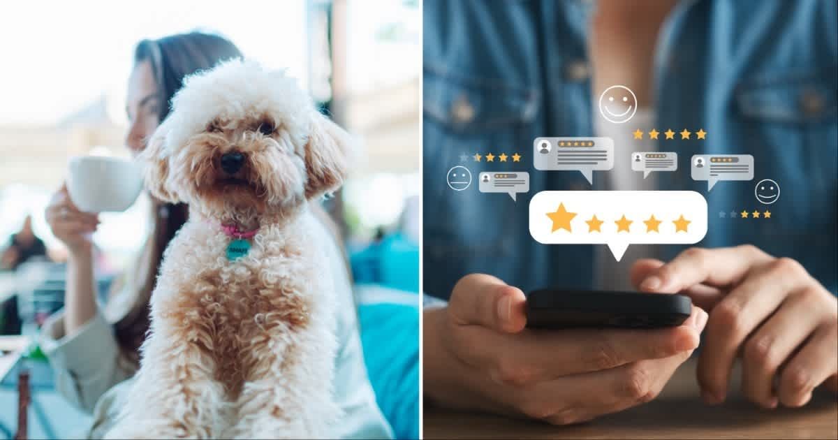 (L) A dog owner sitting with a their dog at a cafe ; (R)  A man leaving reviews. (Representative Cover Source: Getty Images | Photo by (L) JulPo; (R) Thapana Onphalai)