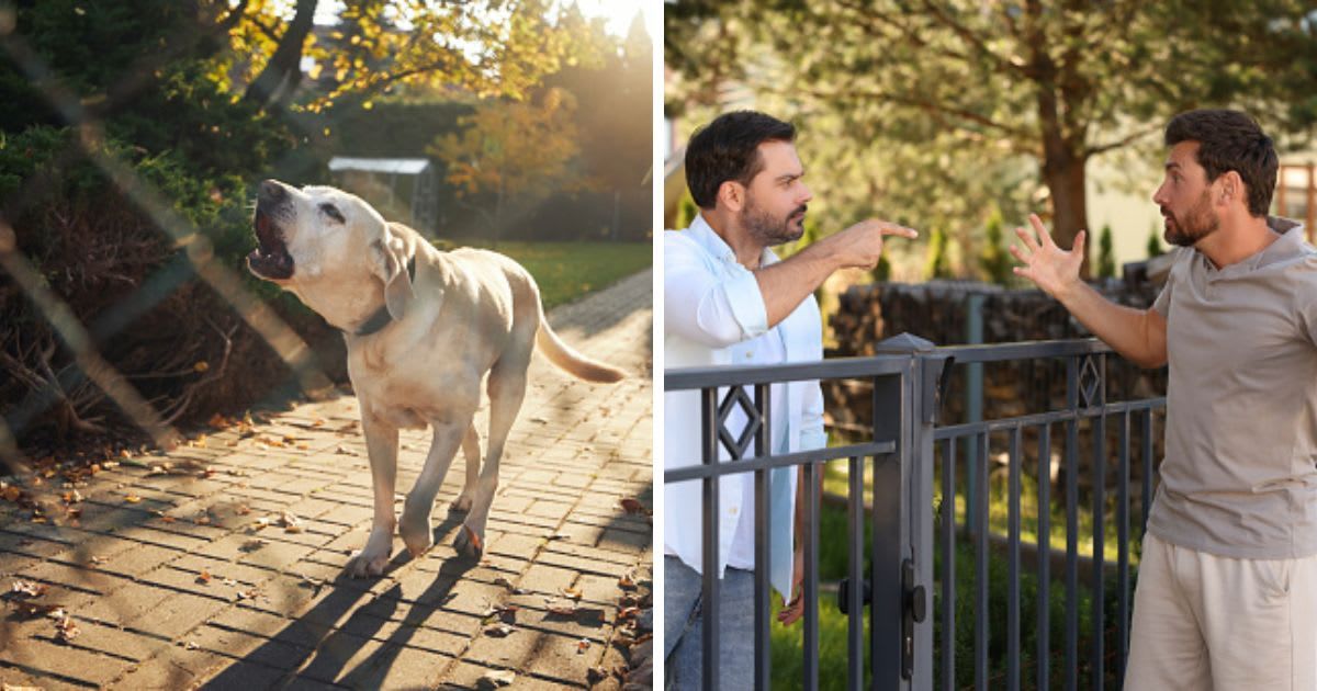 (L) Barking dog behind fence, (R) Angry neighbours having argument near fence outdoors. (Representative Cover Image Source: Getty Images | (L)Chalabala, (R) Liudmila Chernetska)