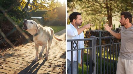 He ignored complaints about his dog barking from midnight till 3 a.m. — until his neighbor’s 6 a.m. revenge gave him a taste of his own medicine