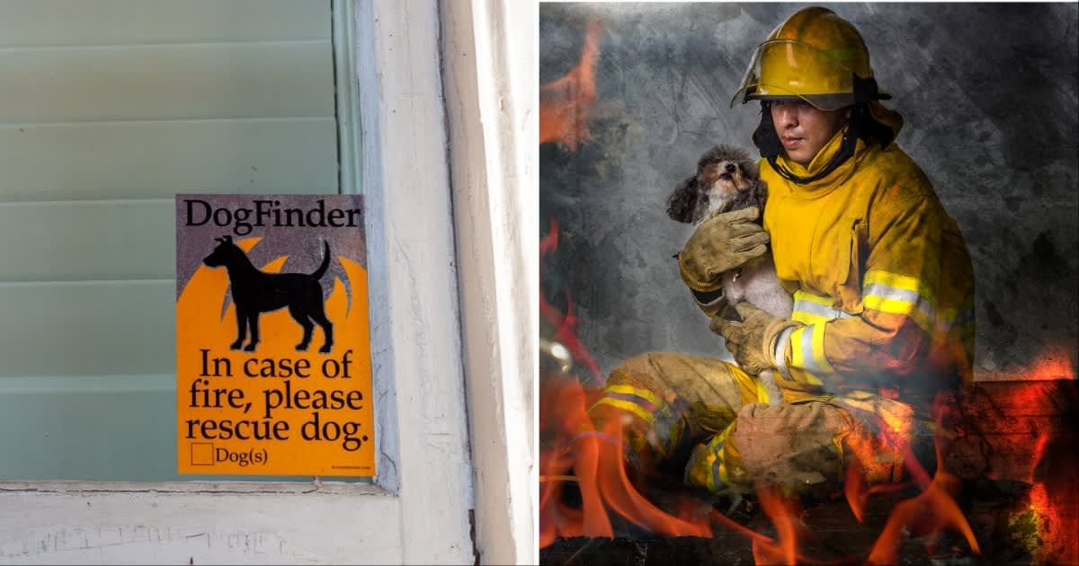 (L) Pet finder sticker; (R) A firefighter rescuing a dog. (Representative Cover Source: Getty Images | Photo by (L) Grandbrothers; (R) Photos for You)