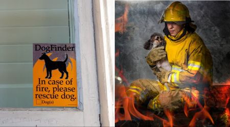 Pet parents urged to use this simple front-door sticker that could save their furry friends in a fire — and it’s free to get today