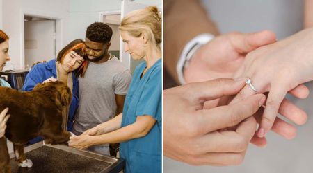 Couple planning to include pet dog in their wedding took him for a check-up — but a heartbreaking diagnosis led them to say ‘I do’ in the vet’s office