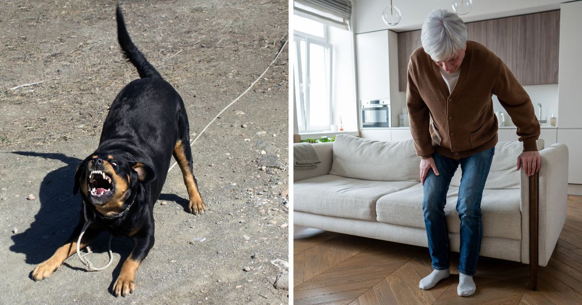 (L) Aggressive Rottweiler Barking and Showing Teeth. (R) Man sits on the couch. (Representative Cover Image Source: Getty Images | (L) ArtForYou, (R) Dima Berlin)
