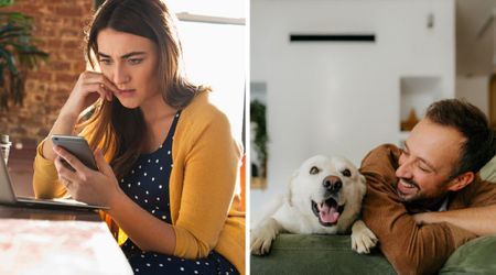 Wife feared her husband would be bored on his day off — then came a security cam alert and proved her completely wrong