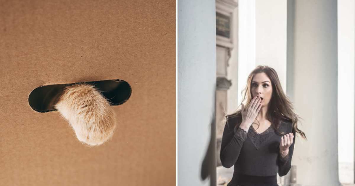 (L) White Cat's paws are peeking out of the hole in the cardboard box. (R)  A woman looking somewhere surprised. (Representative Cover Image Source: Getty Images | (L) Viktoriya Skorikova, (R) Koron)