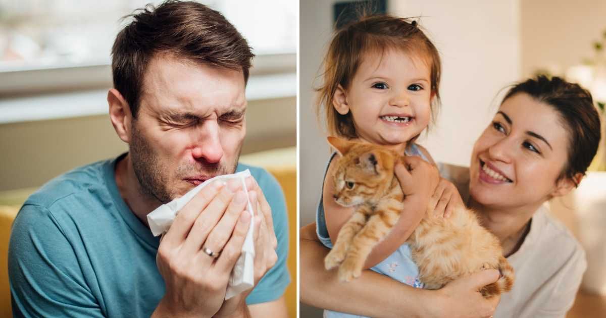 (L) A man sneezing. (R) A mother and daughter with their pet cat. (Representative Cover Image Source: Getty Images | (L) RgStudio, (R) Strelciuc Dumitru)