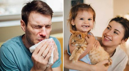 Man braced for a ‘brutal’ allergy when his family brought home a kitten — but weeks later, a ‘magical’ reaction stunned them all